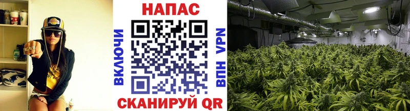 Виды наркотиков купить Ульяновск МЕТАМФЕТАМИН Меф мяу мяу ГАШ Каннабис СОЛЬ