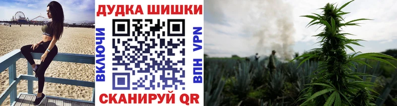 закладка мега зеркало Конопля семена Ульяновск